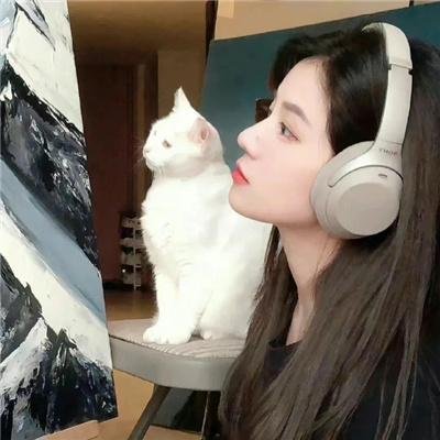 费里布朗